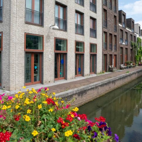 Positieve maatschappelijke impact
